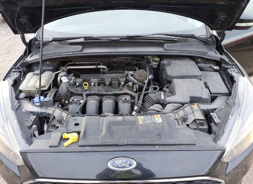 Photo 10 of 2016 Ford Focus SE (VIN 1FADP3K23GL299558)