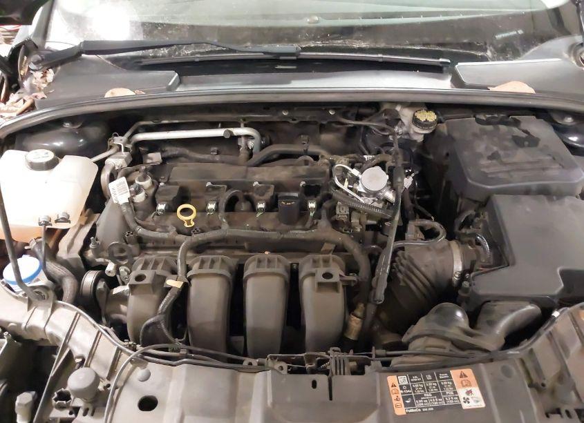 Photo 10 of 2016 Ford Focus SE (VIN 1FADP3K23GL326094)