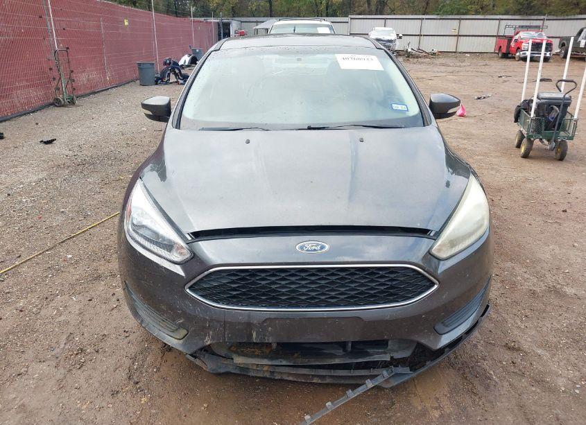 Photo 12 of 2016 Ford Focus SE (VIN 1FADP3K23GL339170)