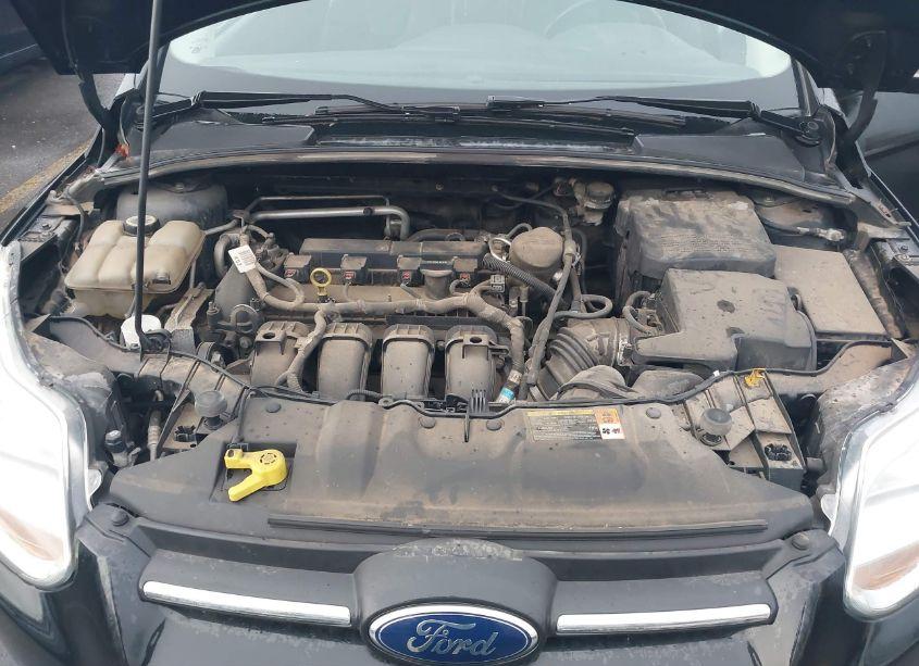 Photo 10 of 2013 Ford Focus SE (VIN 1FADP3K25DL237137)
