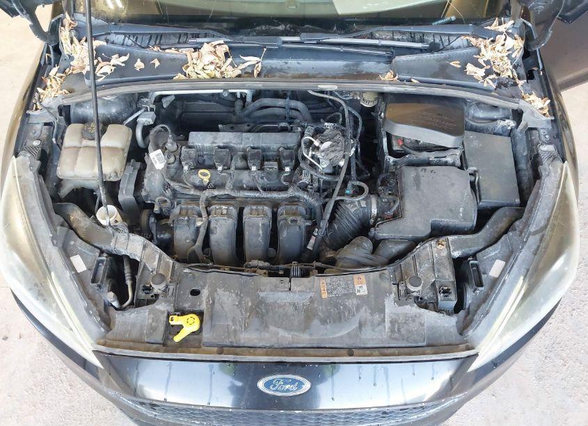Photo 10 of 2015 Ford Focus SE (VIN 1FADP3K25FL318772)