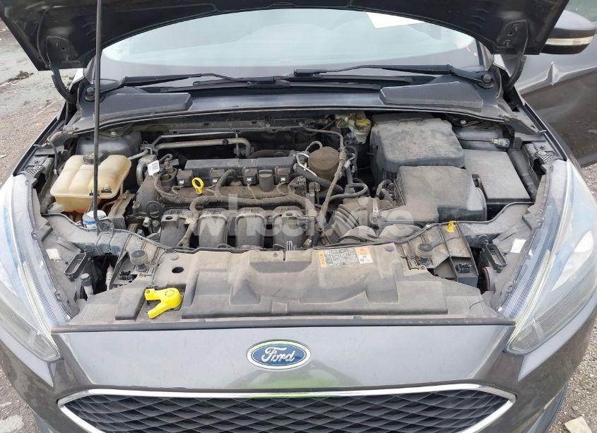 Photo 10 of 2016 Ford Focus SE (VIN 1FADP3K25GL262639)