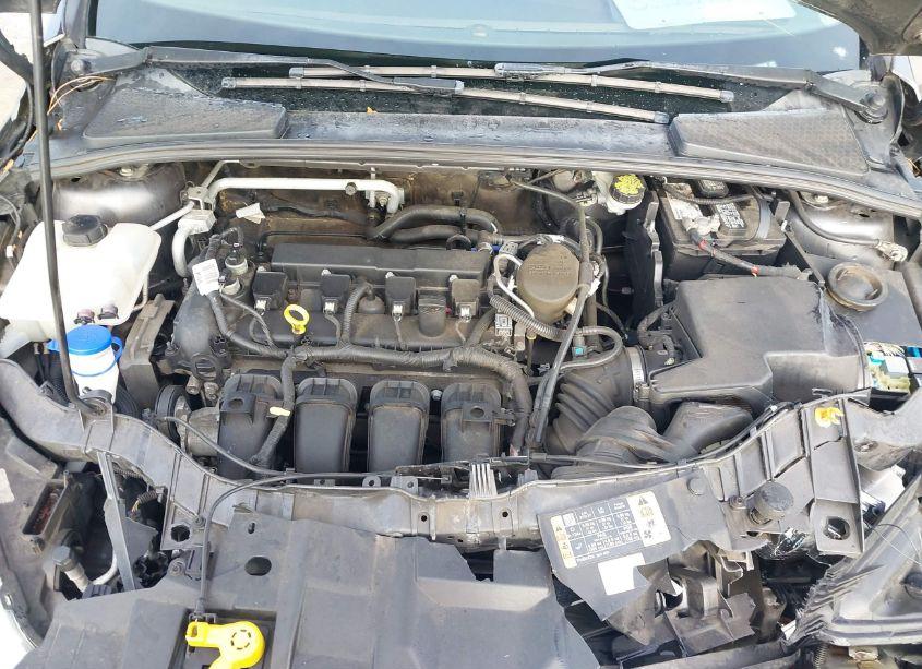 Photo 10 of 2016 Ford Focus SE (VIN 1FADP3K25GL270546)