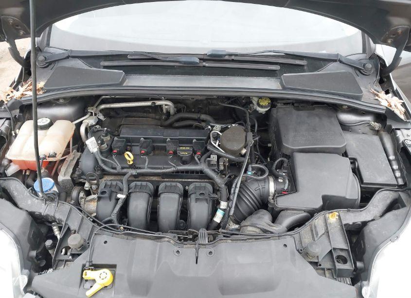 Photo 10 of 2013 Ford Focus SE (VIN 1FADP3K26DL149911)