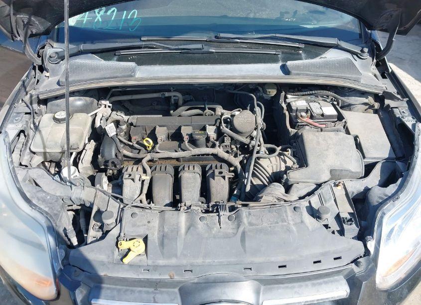 Photo 10 of 2013 Ford Focus SE (VIN 1FADP3K26DL248213)