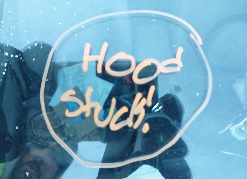 Photo 10 of 2018 Ford Focus SE (VIN 1FADP3K27JL316739)