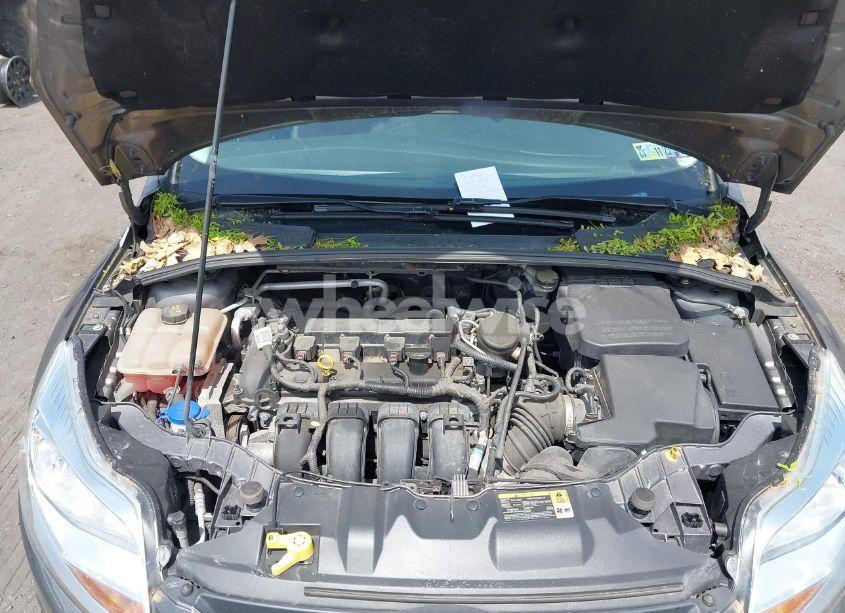 Photo 10 of 2014 Ford Focus SE (VIN 1FADP3K29EL243542)