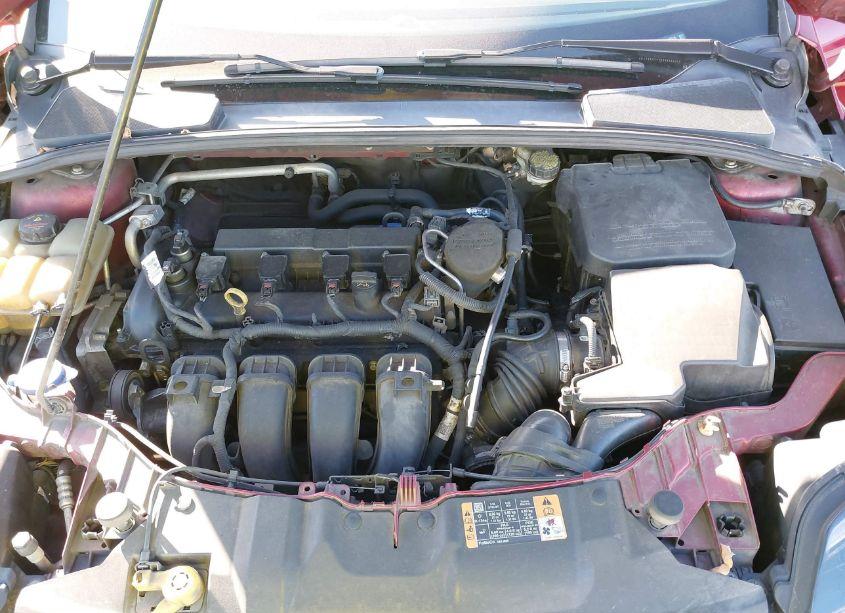 Photo 6 of 2014 Ford Focus SE (VIN 1FADP3K29EL413916)