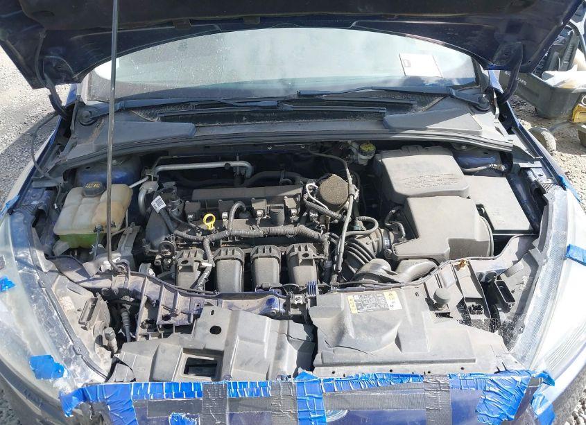 Photo 10 of 2016 Ford Focus SE (VIN 1FADP3K29GL321448)