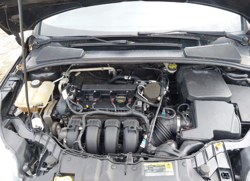 Photo 10 of 2013 Ford Focus SE (VIN 1FADP3K2XDL142086)