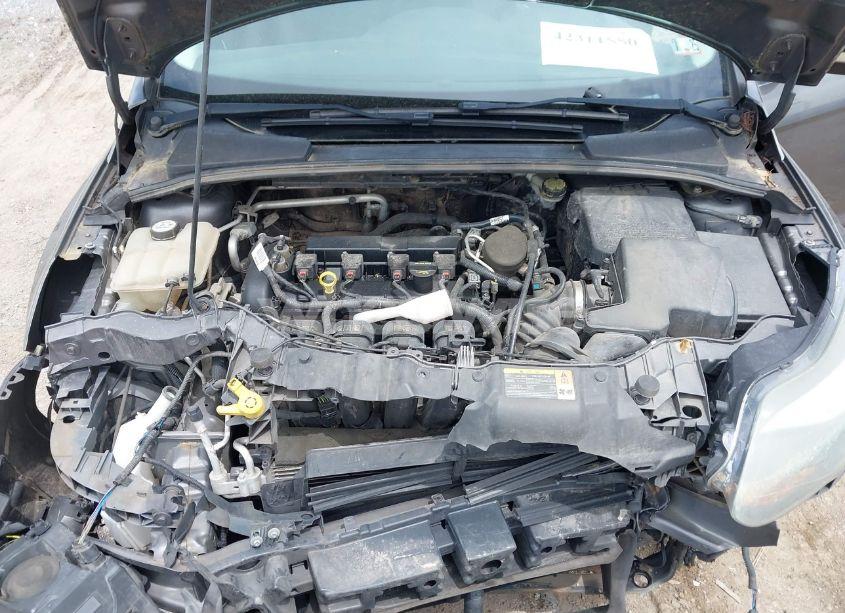 Photo 10 of 2013 Ford Focus SE (VIN 1FADP3K2XDL216235)