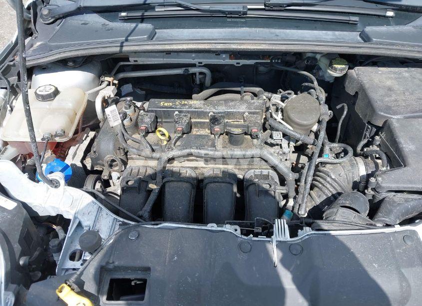 Photo 10 of 2013 Ford Focus SE (VIN 1FADP3K2XDL303391)