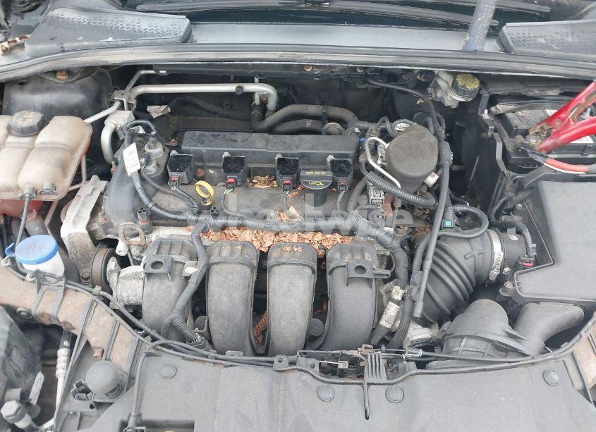 Photo 10 of 2014 Ford Focus SE (VIN 1FADP3K2XEL367139)