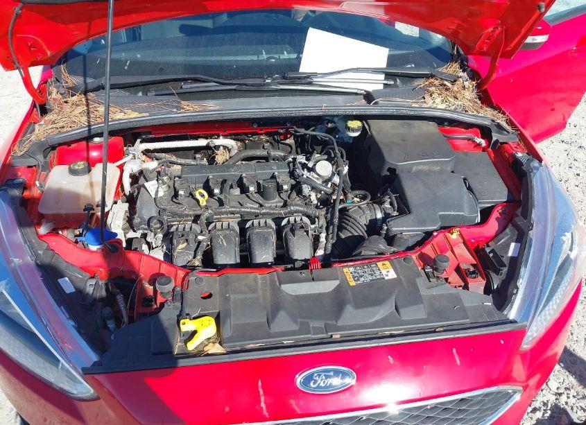 Photo 10 of 2016 Ford Focus SE (VIN 1FADP3K2XGL387037)