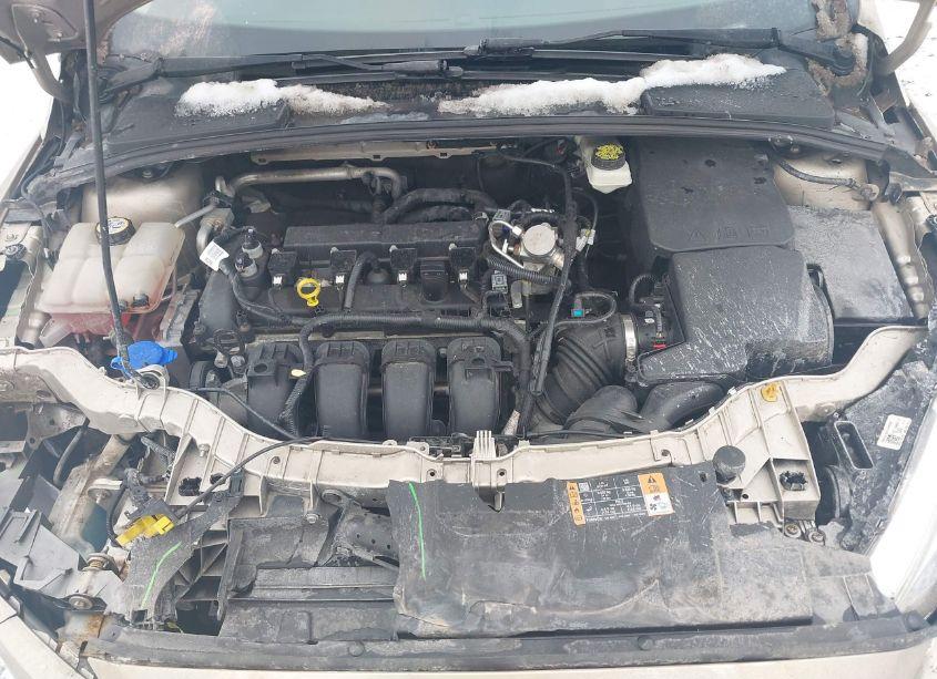 Photo 10 of 2017 Ford Focus SE (VIN 1FADP3K2XHL227256)