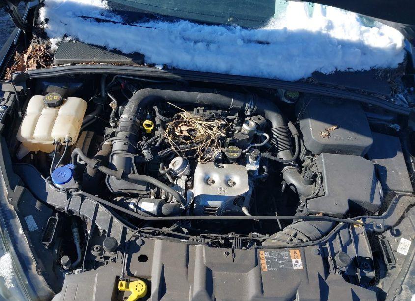 Photo 10 of 2016 Ford Focus SE (VIN 1FADP3KE6GL356927)