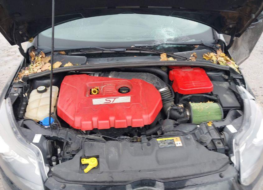 Photo 10 of 2013 Ford Focus ST (VIN 1FADP3L92DL324358)
