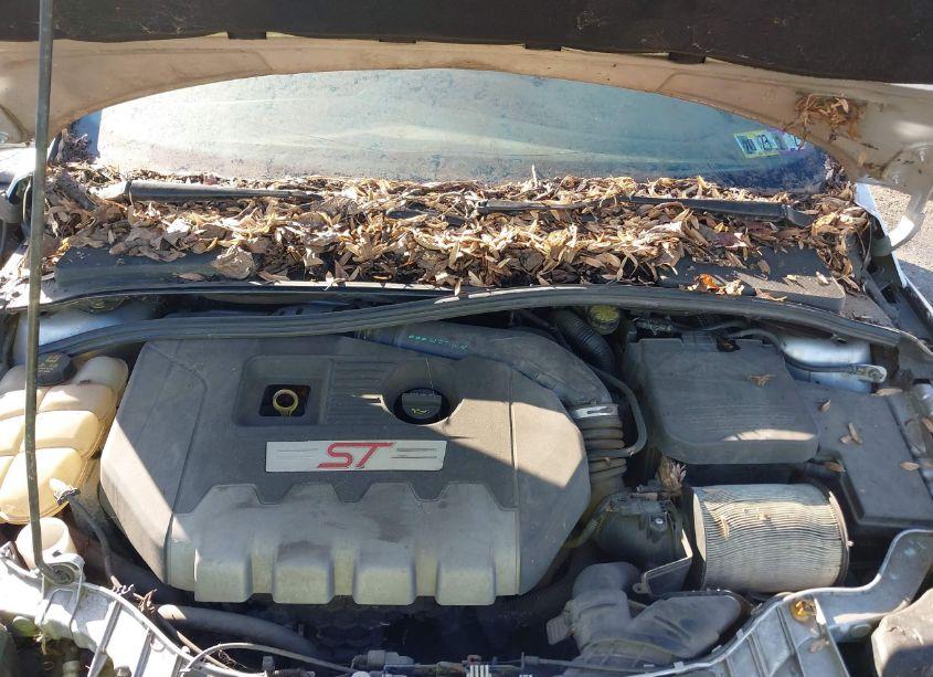 Photo 10 of 2014 Ford Focus ST (VIN 1FADP3L93EL388068)