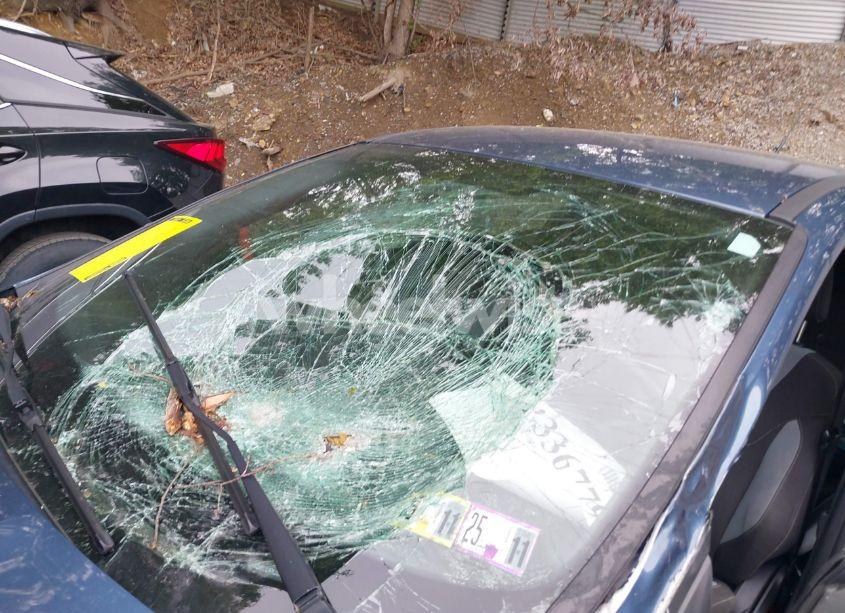 Photo 19 of 2018 Ford Focus ST (VIN 1FADP3L9XJL228182)