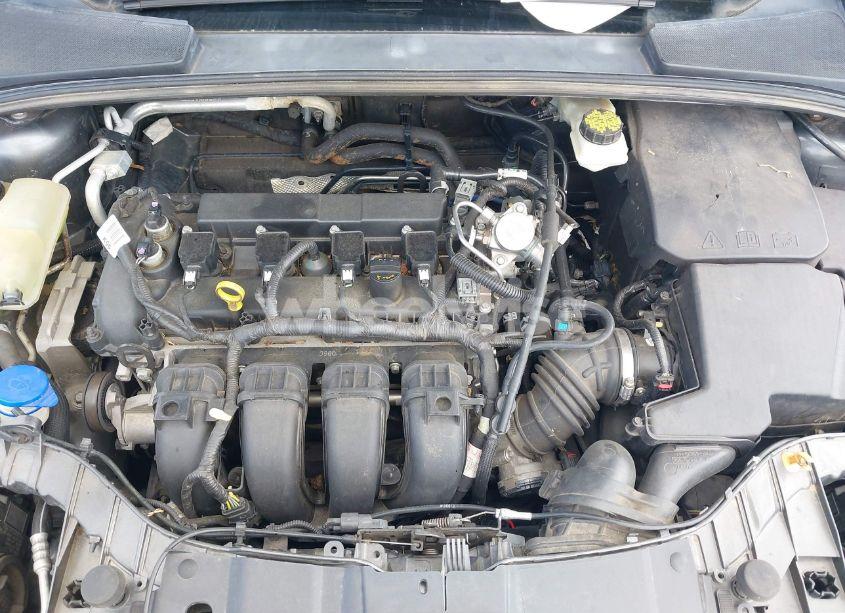 Photo 10 of 2017 Ford Focus SEL (VIN 1FADP3M21HL264595)