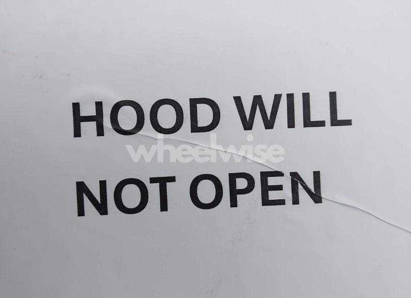 Photo 10 of 2017 Ford Focus SEL (VIN 1FADP3M24HL209641)