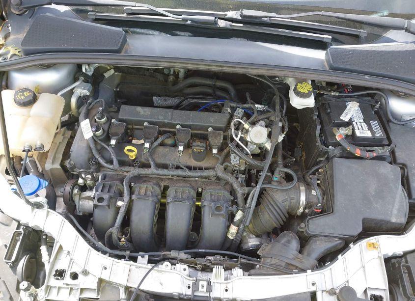 Photo 10 of 2017 Ford Focus SEL (VIN 1FADP3M2XHL338046)