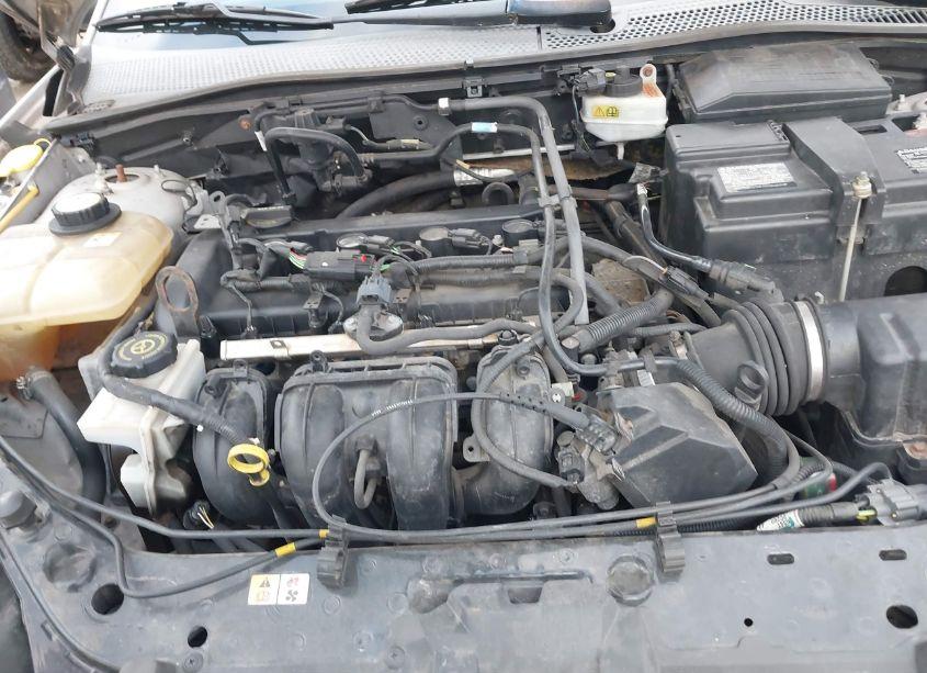 Photo 10 of 2006 Ford Focus ZX3 (VIN 1FAFP31N66W227500)