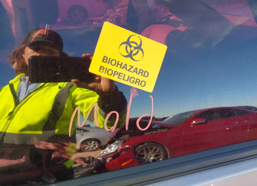 Photo 6 of 2005 Ford Focus ZX4 (VIN 1FAFP34N55W229569)