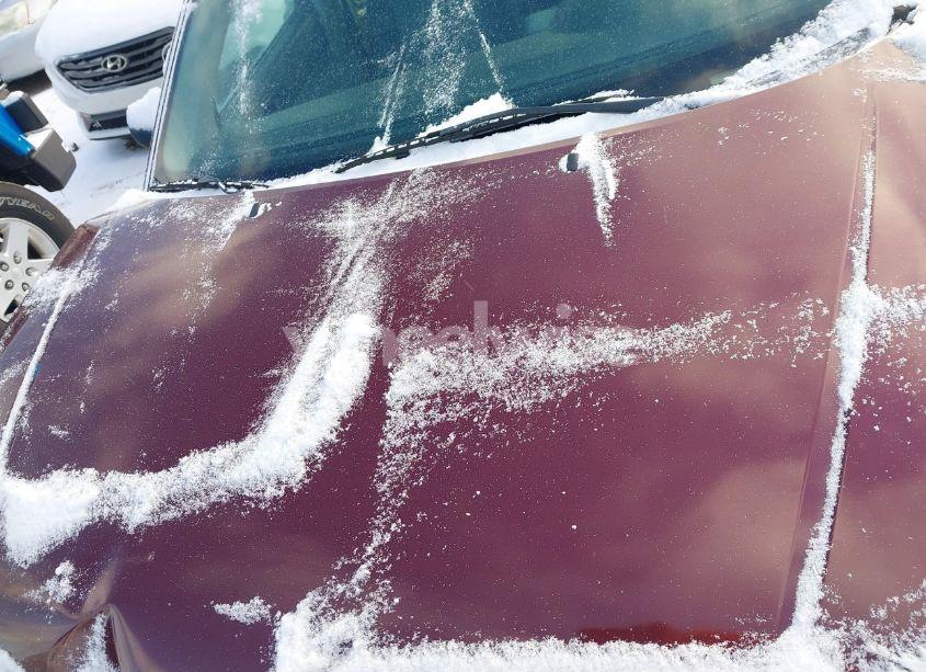 Photo 10 of 2007 Ford Focus S/SE/SES (VIN 1FAFP34NX7W279953)