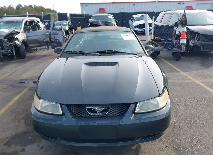 Photo 12 of 1999 Ford Mustang (VIN 1FAFP4040XF140286)