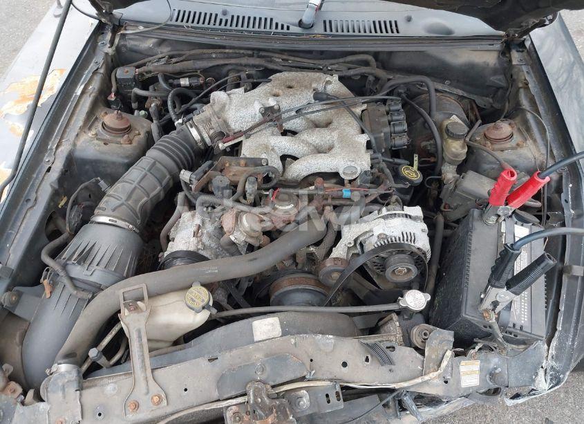 Photo 10 of 1999 Ford Mustang (VIN 1FAFP4040XF157766)