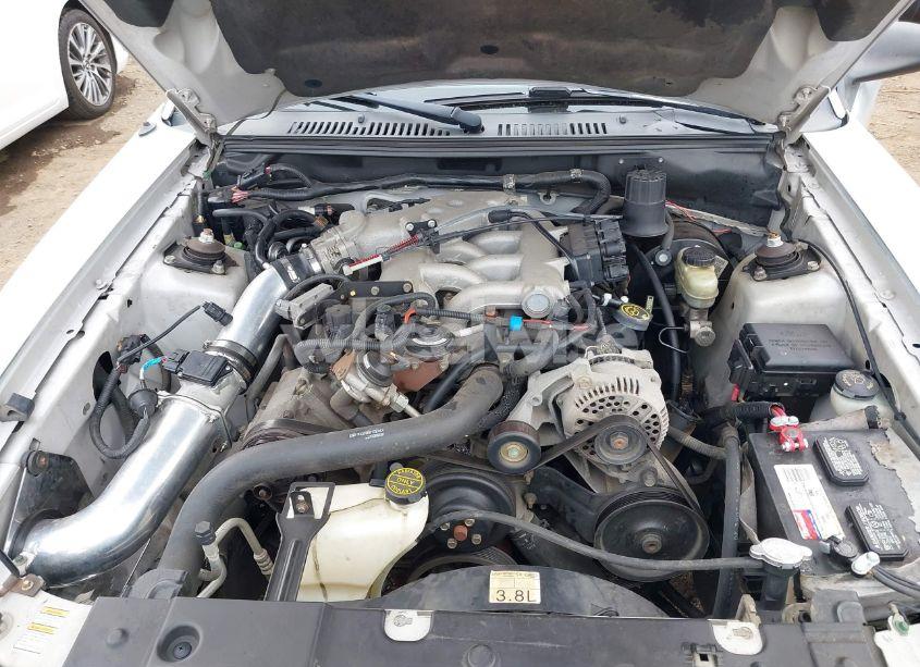 Photo 10 of 2000 Ford Mustang (VIN 1FAFP4040YF182992)