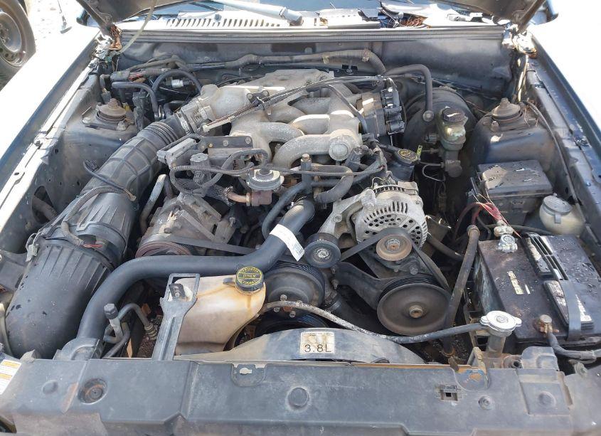 Photo 10 of 2000 Ford Mustang (VIN 1FAFP4040YF212251)