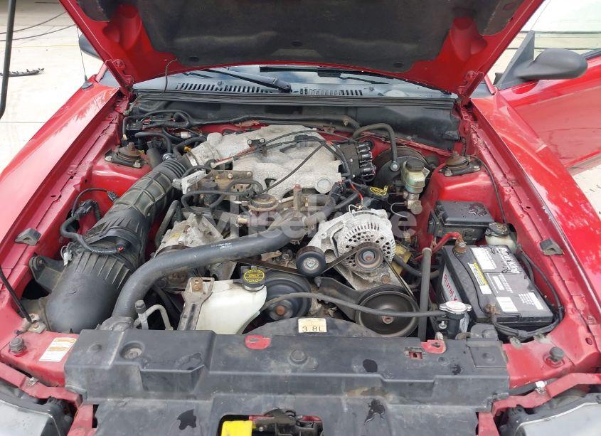 Photo 10 of 2000 Ford Mustang (VIN 1FAFP4040YF245895)