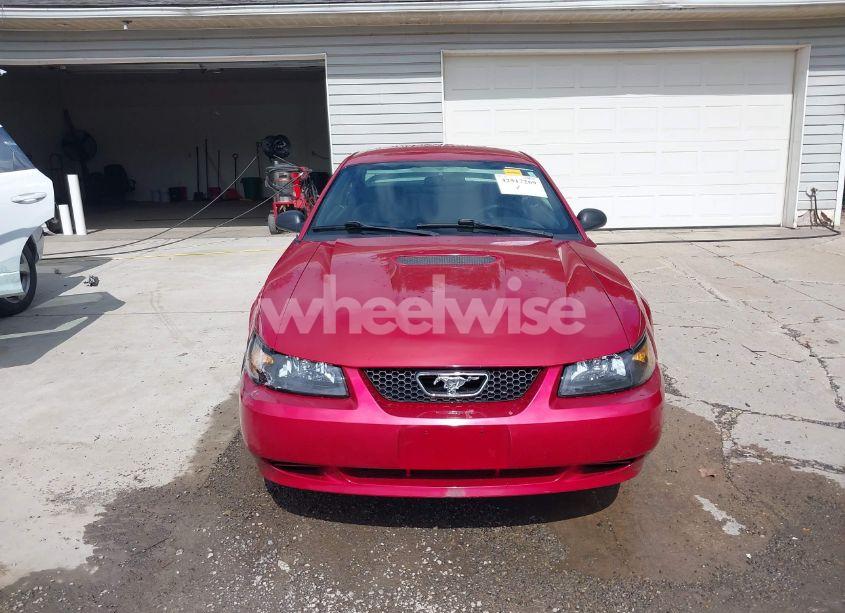 Photo 12 of 2000 Ford Mustang (VIN 1FAFP4040YF245895)