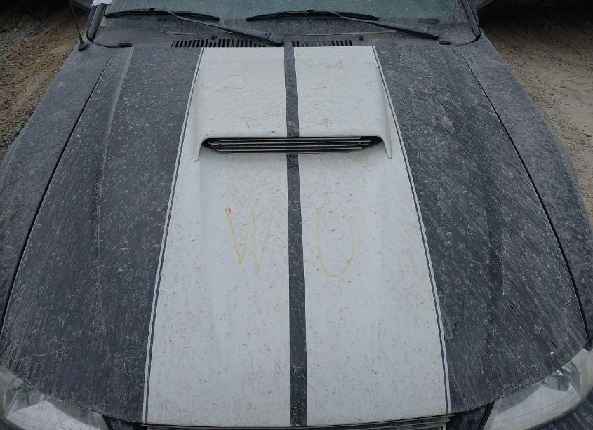 Photo 10 of 2002 Ford Mustang (VIN 1FAFP40412F170034)