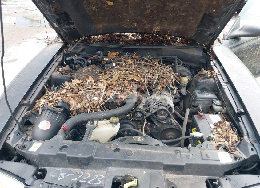 Photo 10 of 1998 Ford Mustang (VIN 1FAFP4041WF273380)