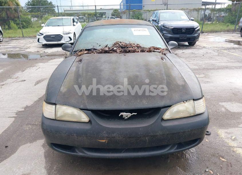 Photo 6 of 1998 Ford Mustang (VIN 1FAFP4041WF273380)