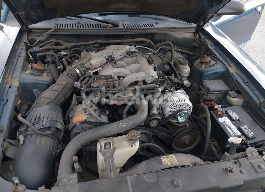 Photo 10 of 2000 Ford Mustang (VIN 1FAFP4041YF226983)