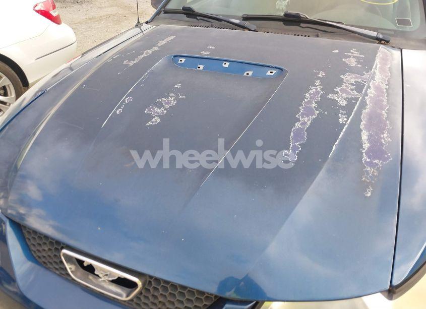 Photo 6 of 2000 Ford Mustang (VIN 1FAFP4041YF226983)