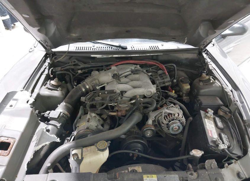 Photo 10 of 2003 Ford Mustang (VIN 1FAFP40433F348236)