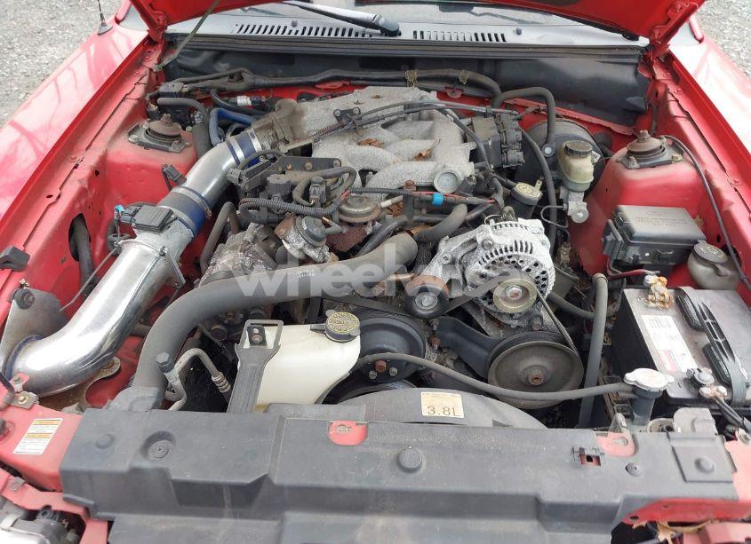 Photo 10 of 2000 Ford Mustang (VIN 1FAFP4043YF269401)