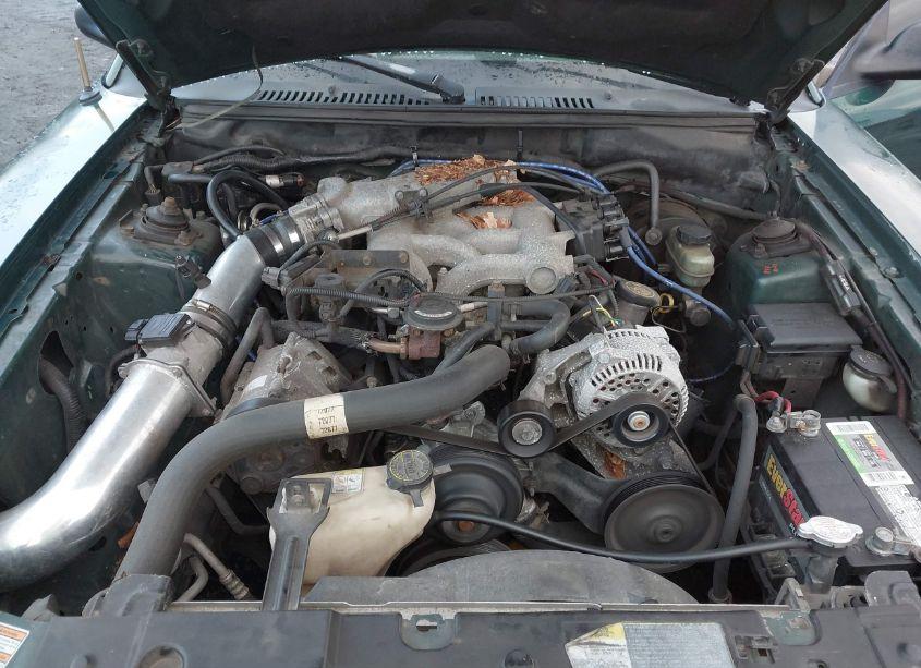 Photo 10 of 2000 Ford Mustang (VIN 1FAFP4043YF315647)