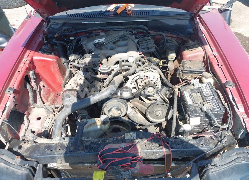 Photo 10 of 2001 Ford Mustang (VIN 1FAFP40441F122414)