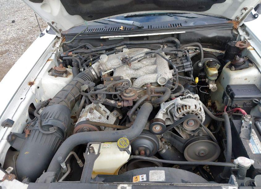 Photo 10 of 2002 Ford Mustang N/A (VIN 1FAFP40442F154961)