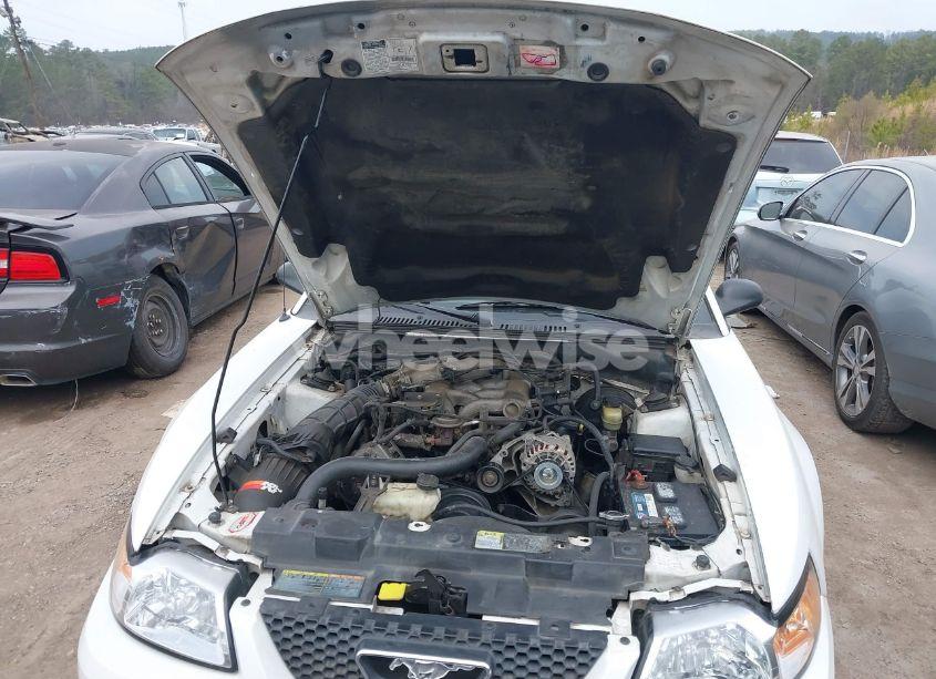 Photo 10 of 2002 Ford Mustang (VIN 1FAFP40442F171338)