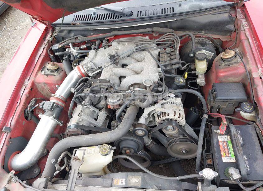 Photo 10 of 2003 Ford Mustang (VIN 1FAFP40443F366194)