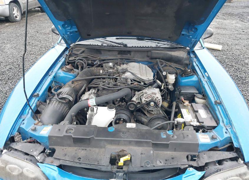 Photo 10 of 1998 Ford Mustang (VIN 1FAFP4044WF142671)