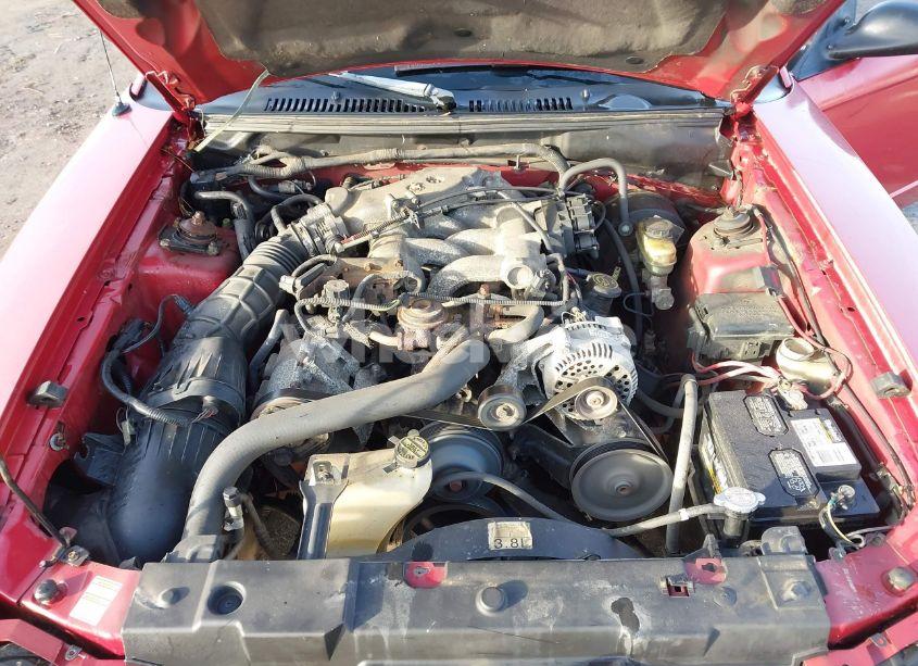 Photo 10 of 2000 Ford Mustang (VIN 1FAFP4044YF192621)