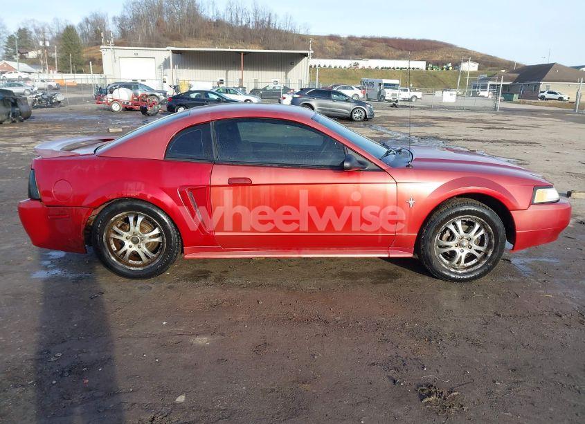 Photo 13 of 2000 Ford Mustang (VIN 1FAFP4044YF192621)